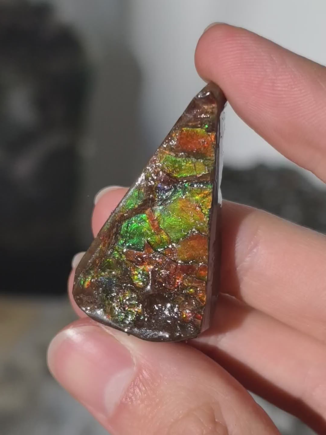 Ammolit Stück aus Kanada