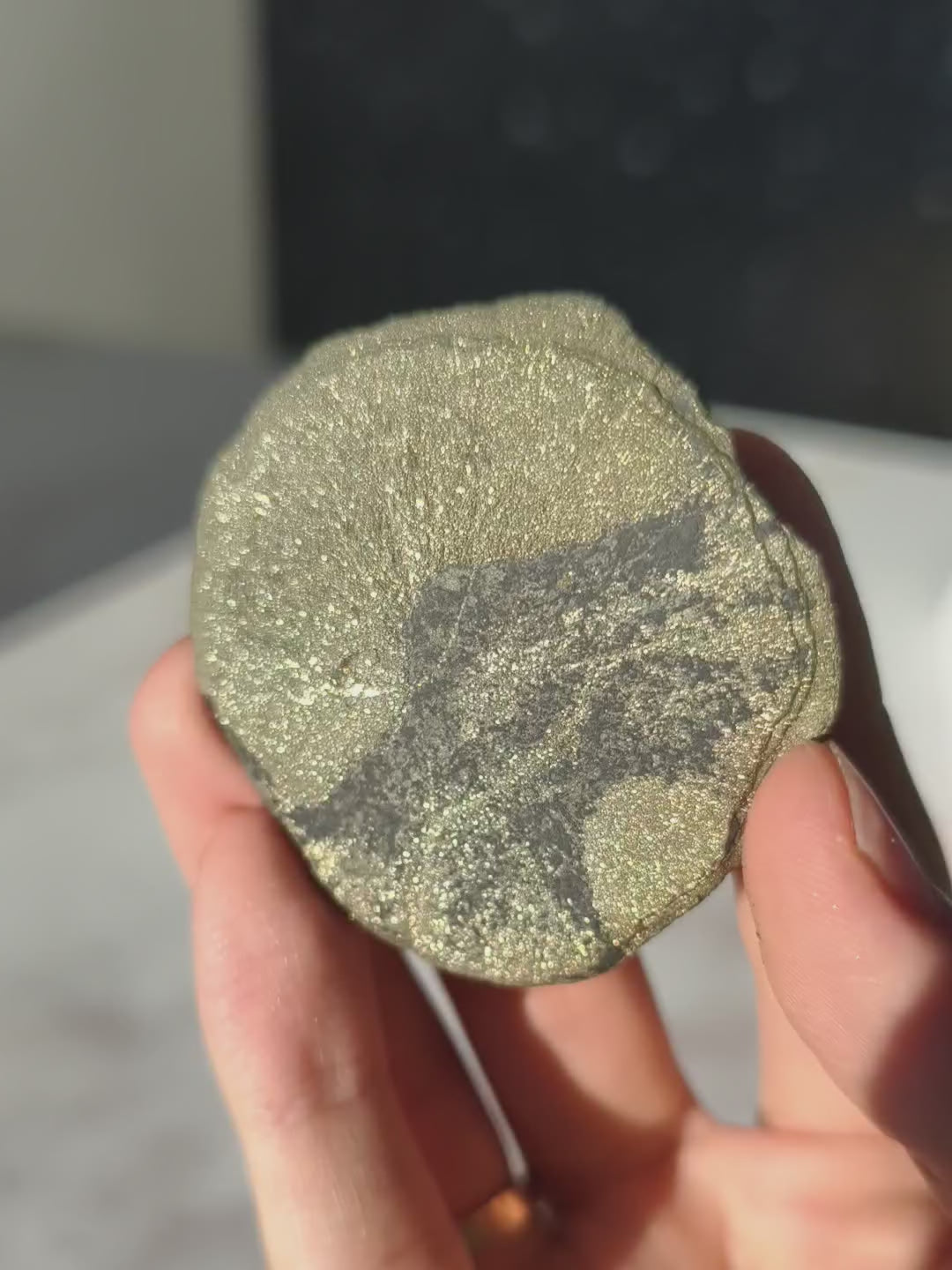 Pyrit Sonne Hohe Qualität aus Illinois