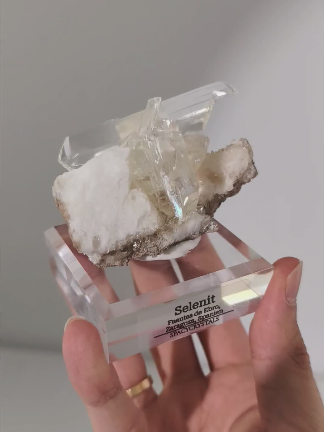 Große Selenit Schwerter auf Alabaster (personal collection release)