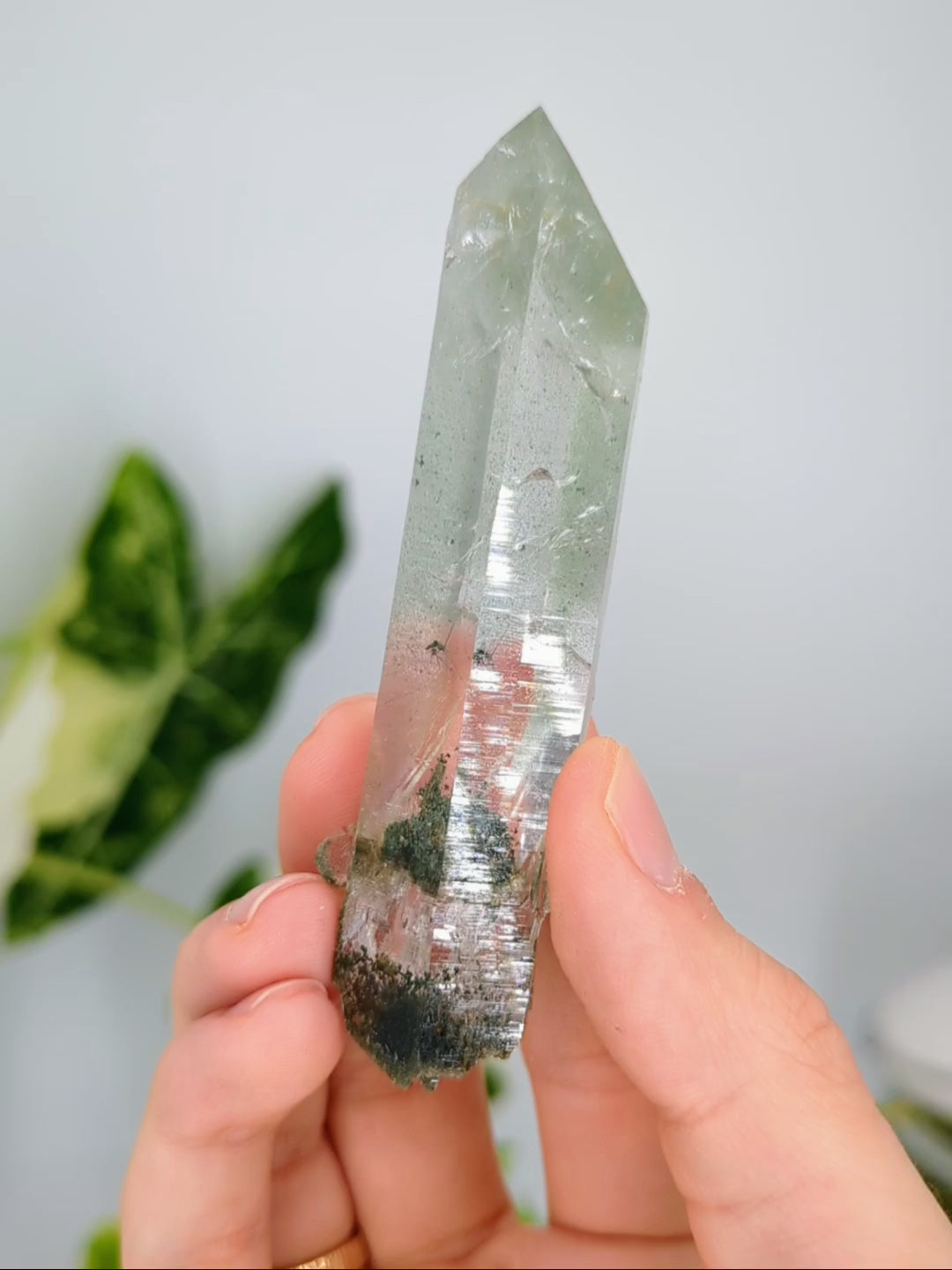 grüner Himalaya Chlorit Quarz mit Rutilstern