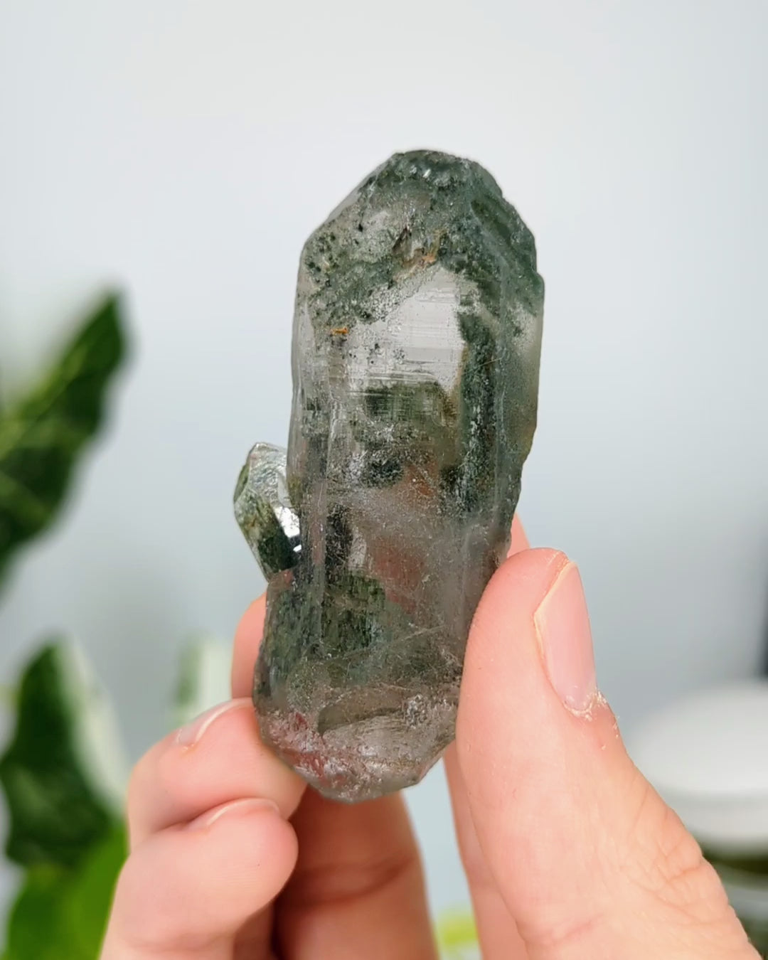 grüner Himalaya Chlorit Quarz mit goldrutil