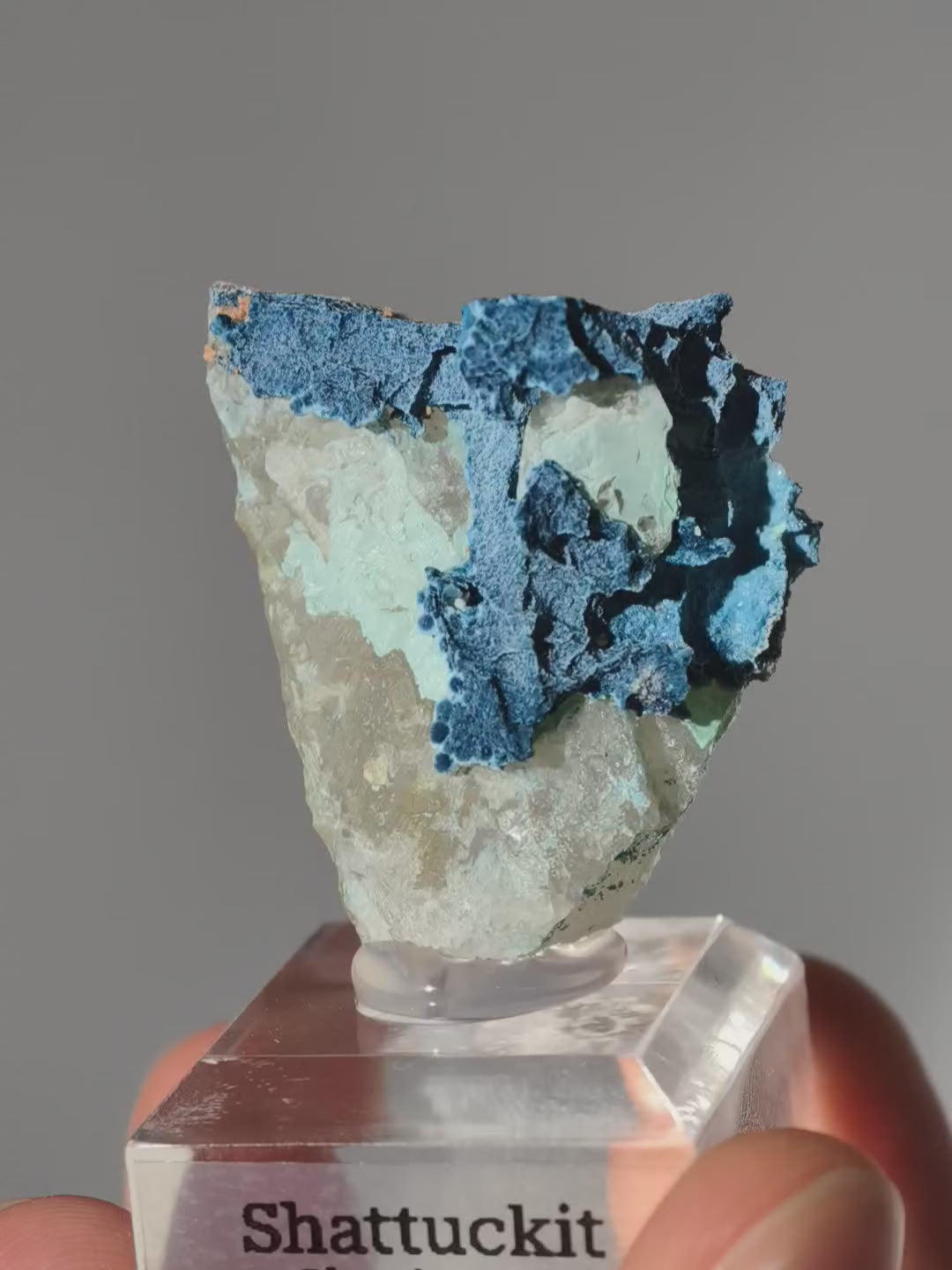 Blauer Samt Shattuckit auf Podest