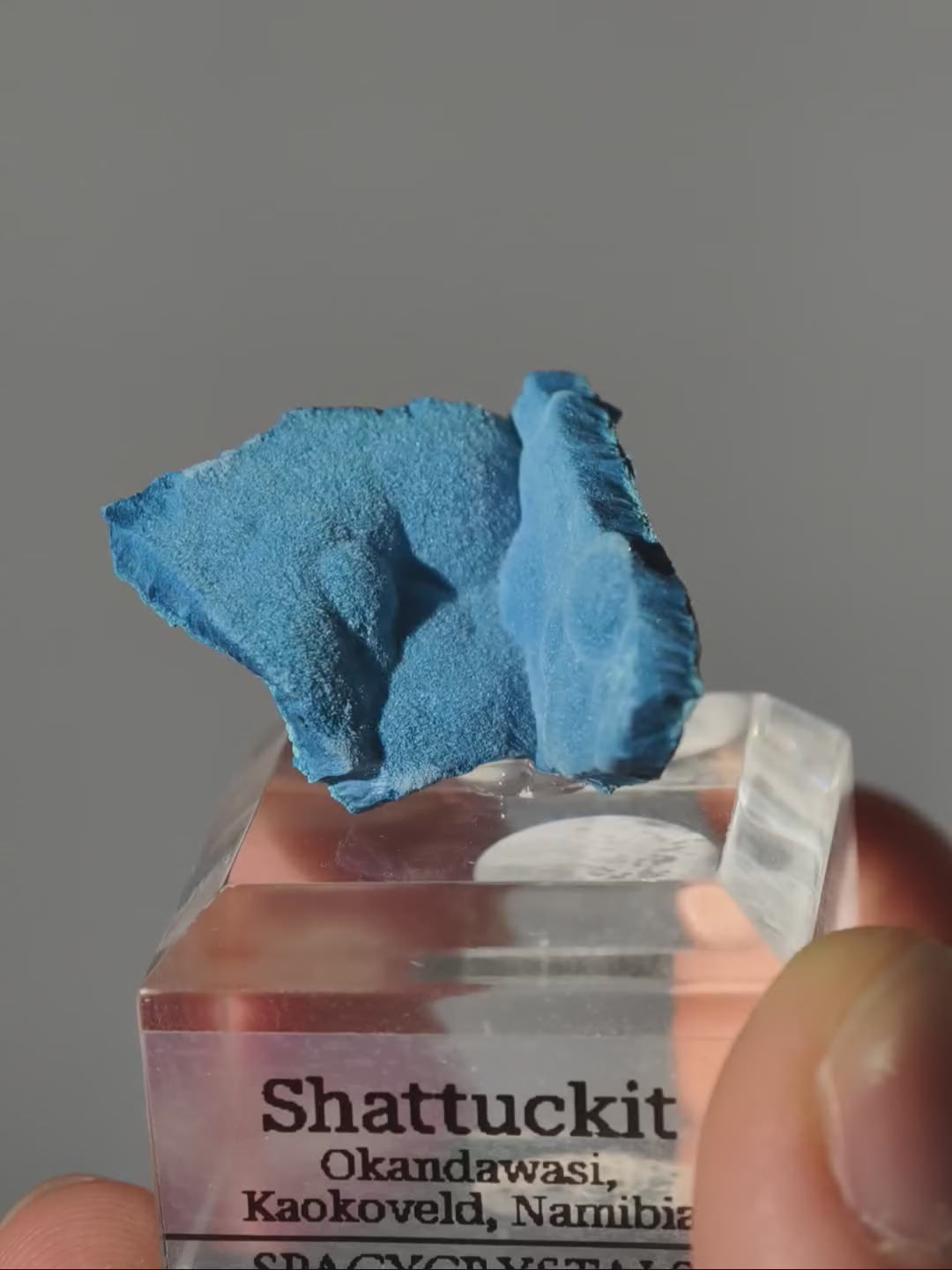 Blauer Samt Shattuckit auf Podest