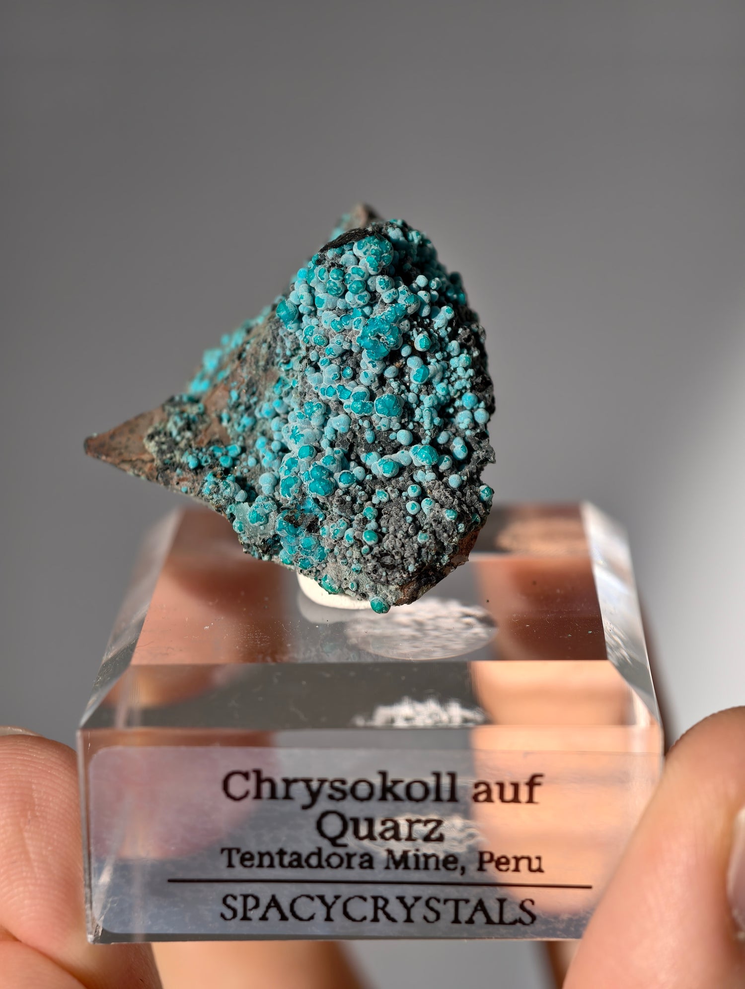 Chrysokoll auf Quarz, Tentadora Mine, Peru
