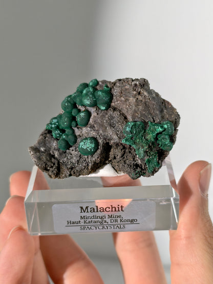Malachit x Quarz aus der Mindingi Mine, Kongo