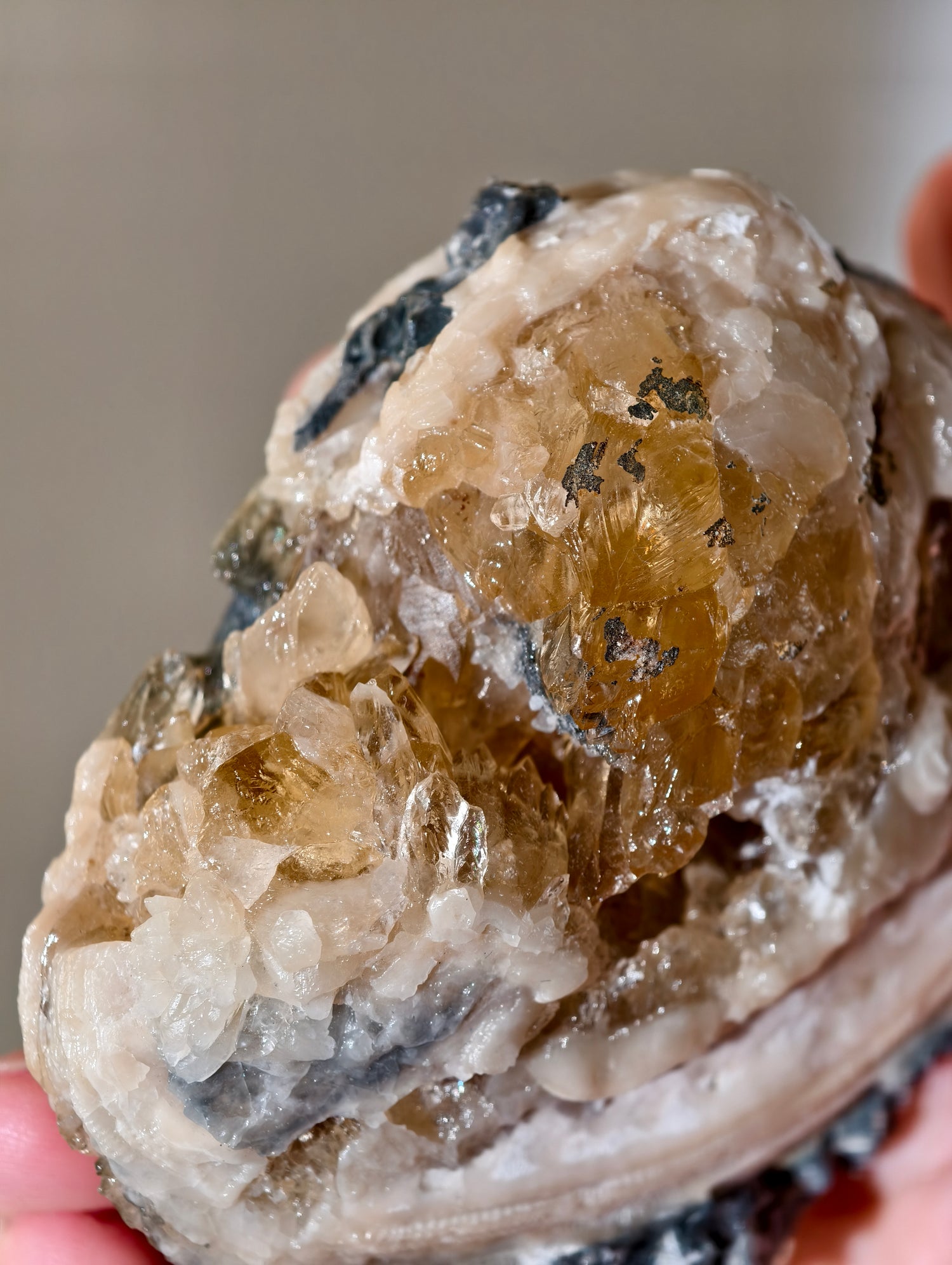 Kristallisierte Fossile Muschel mit Calcit aus Fort Drum, USA (UV Aktiv)