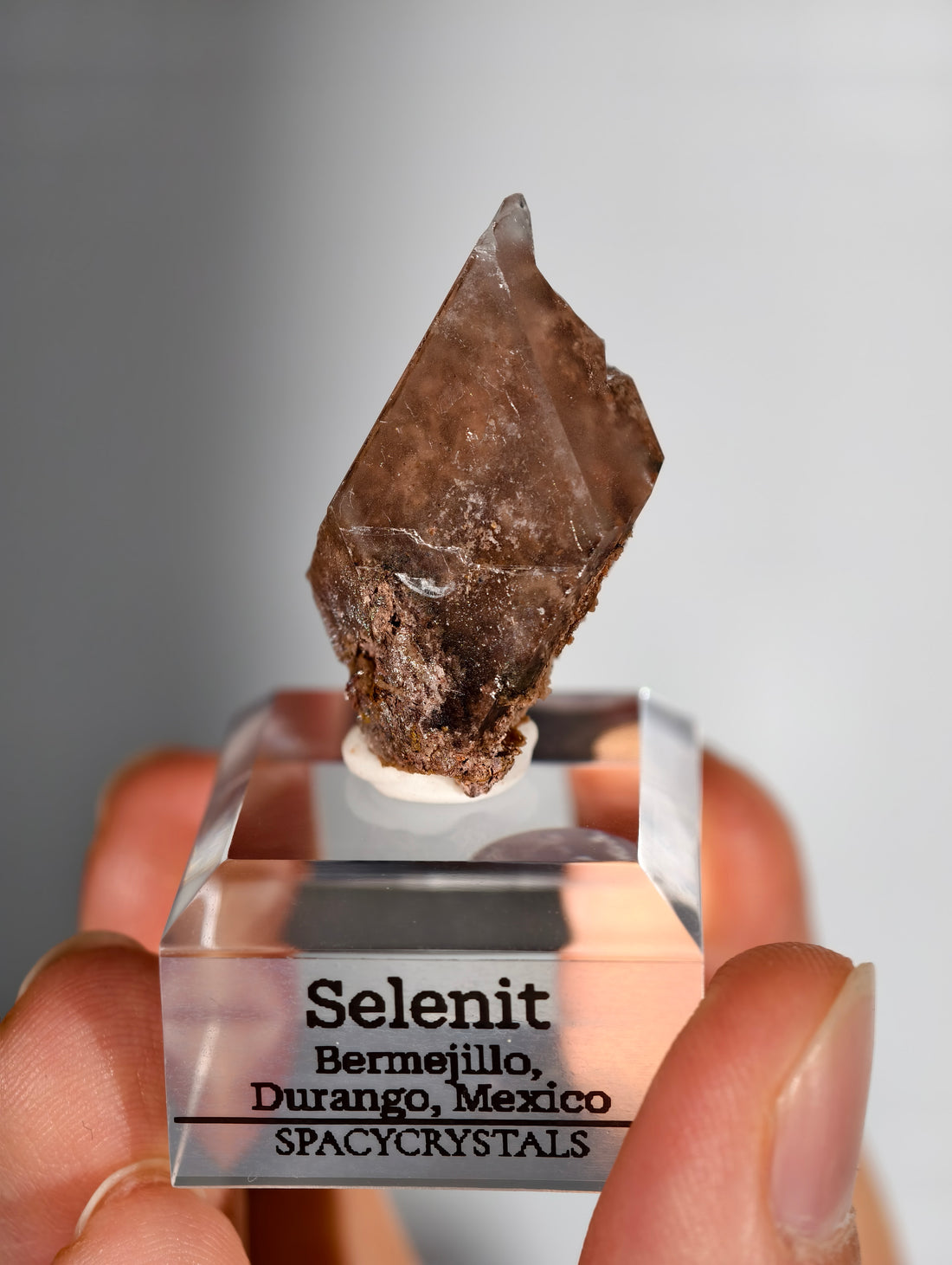 Glasklarer Durango Selenit (Gips) Kristall auf Matrix