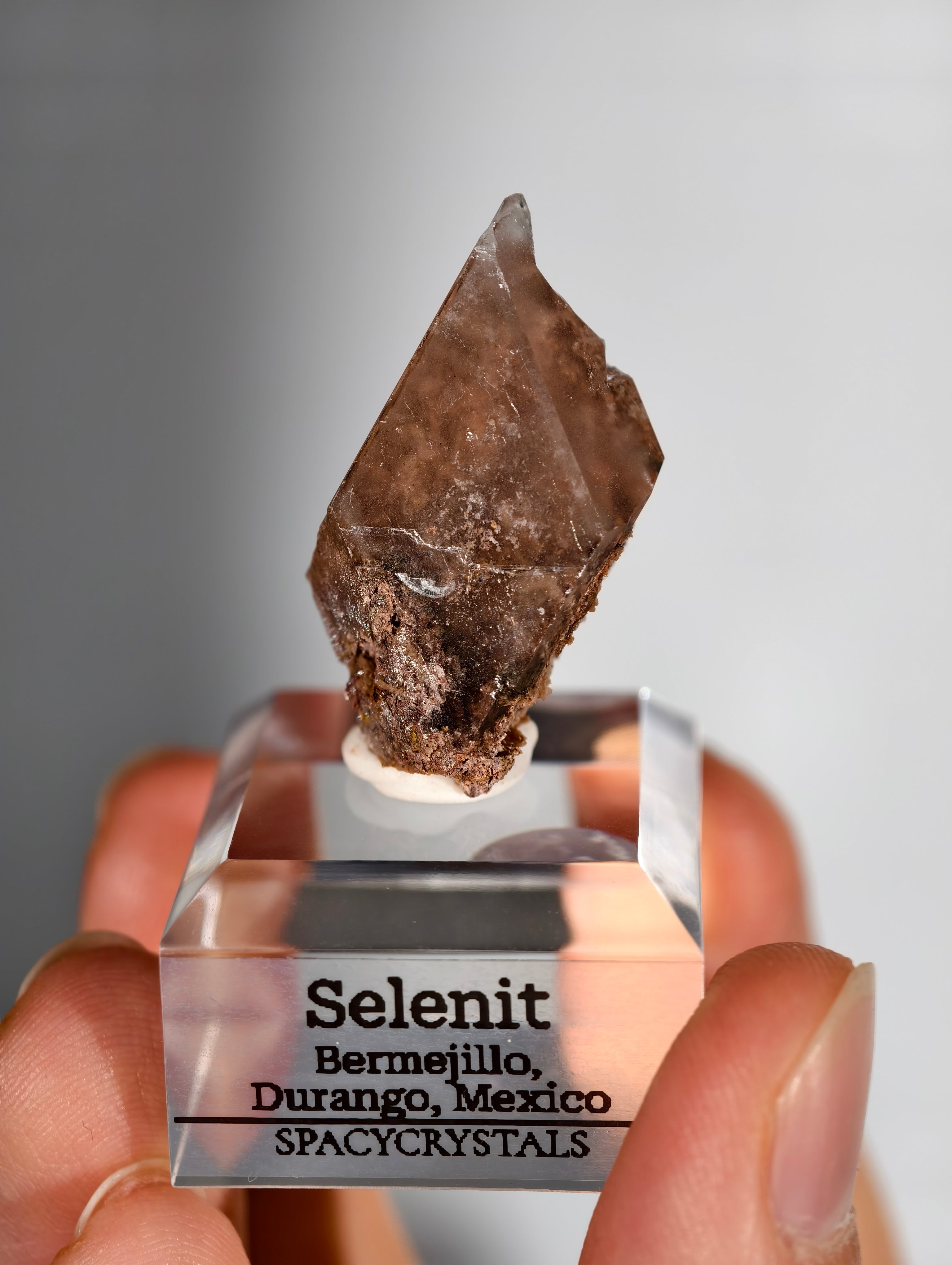 Glasklarer Durango Selenit (Gips) Kristall auf Matrix