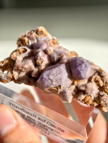 Lila Yttriumfluorit auf Dogtooth Calcit