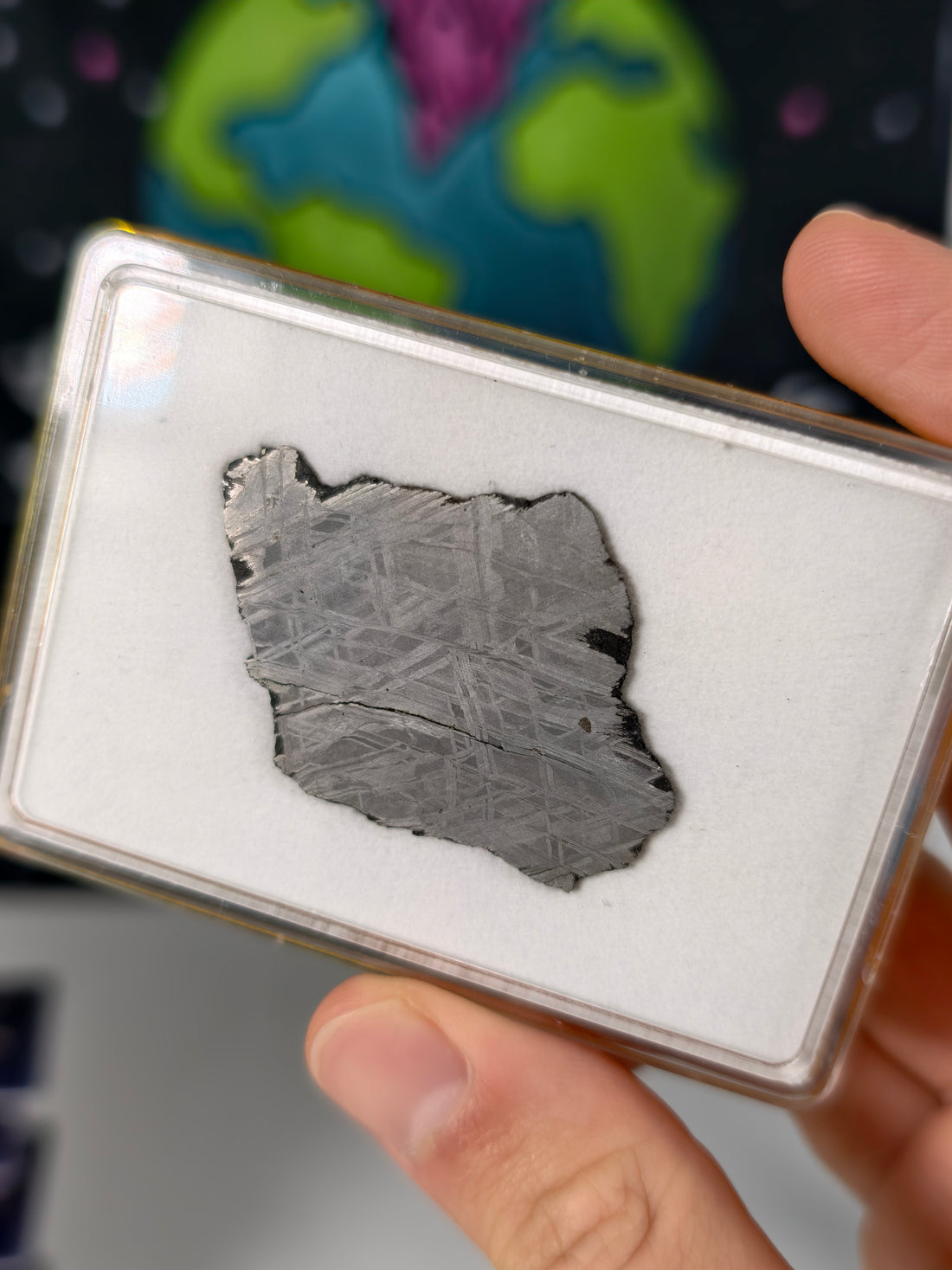 Muonionalusta Meteorit Scheibe 12,22g mit Zertifikat