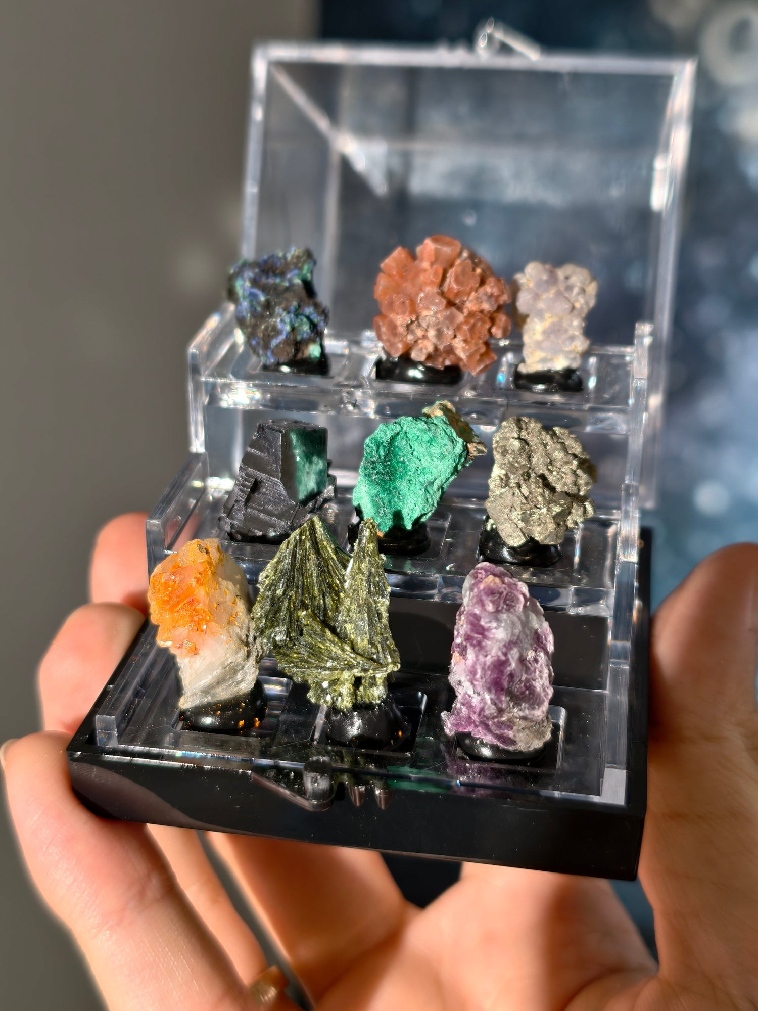 Specimen Box Set (Miniatursammlung)