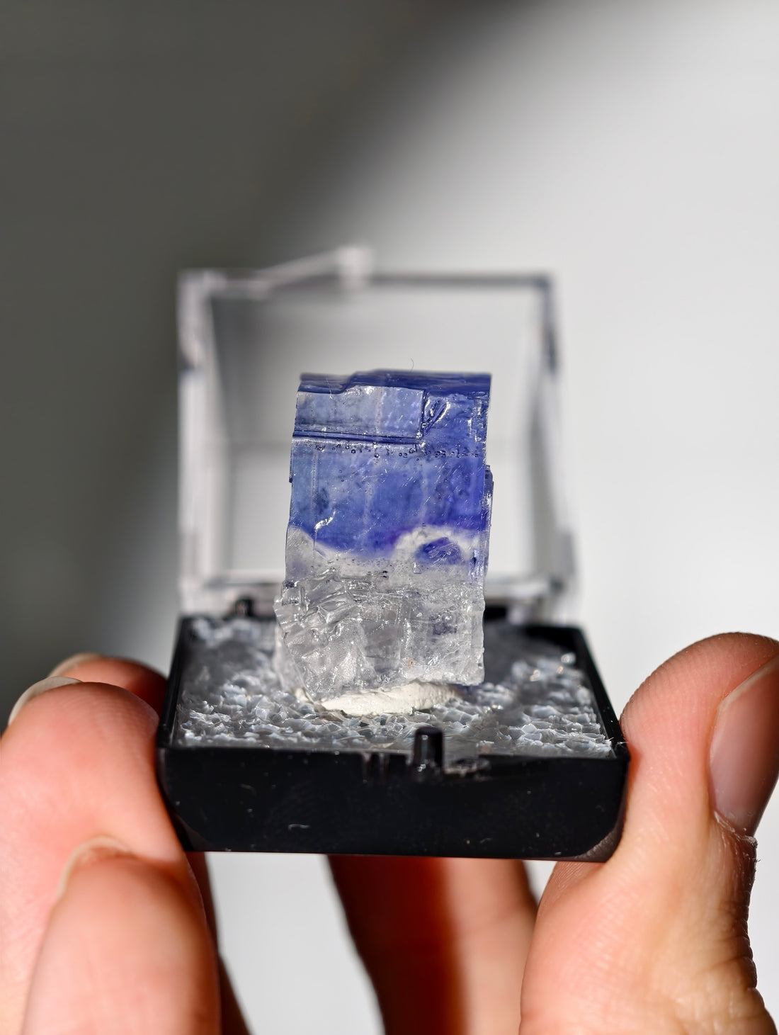 Blauer Halit aus Türkei in Box