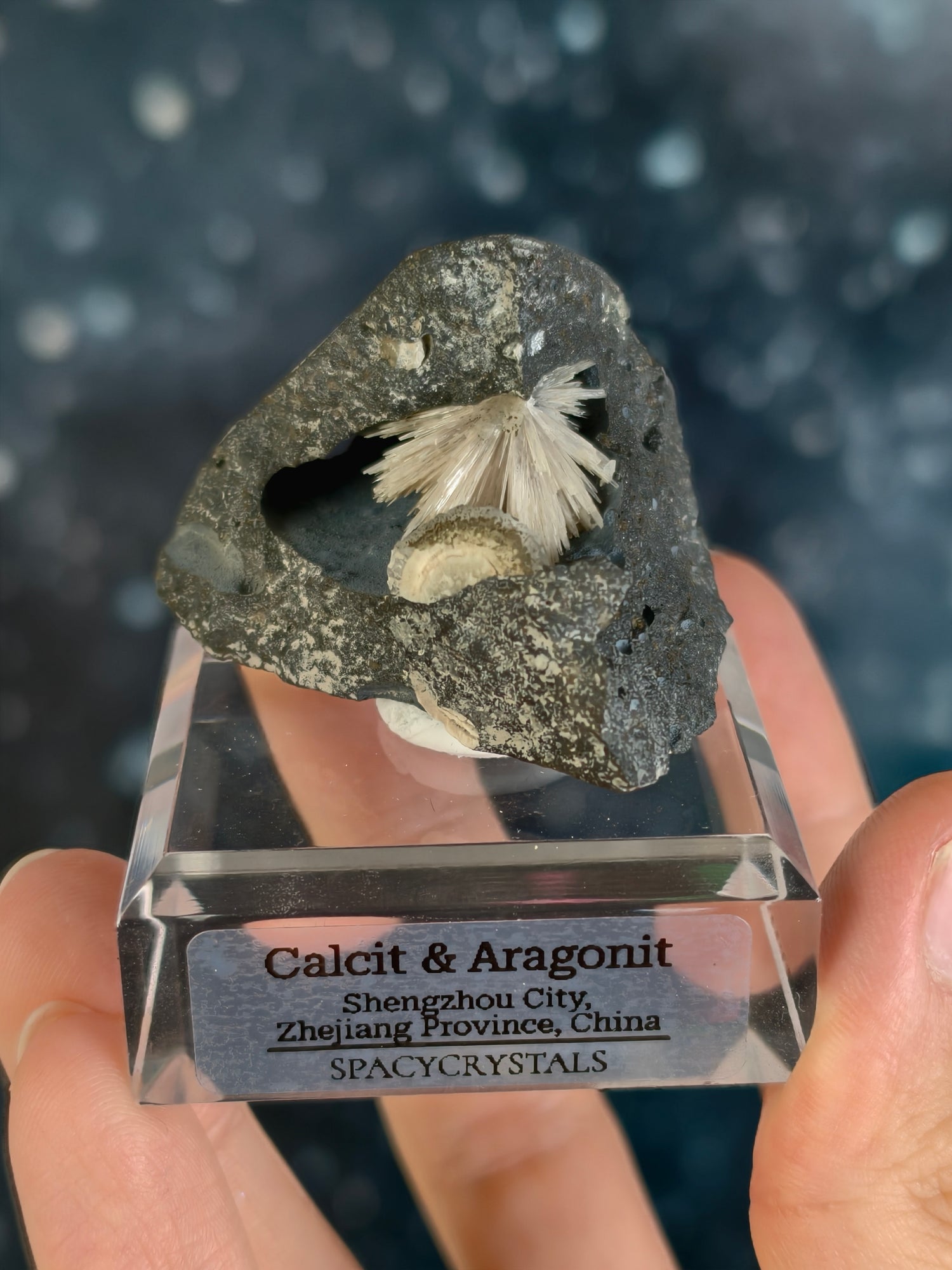 Botryoidaler Calcit mit Aragonit Nadeln auf Basalt - Neuer Fund