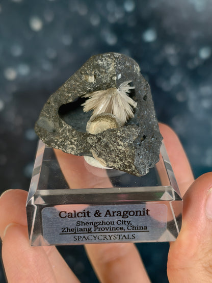 Botryoidaler Calcit mit Aragonit Nadeln auf Basalt - Neuer Fund