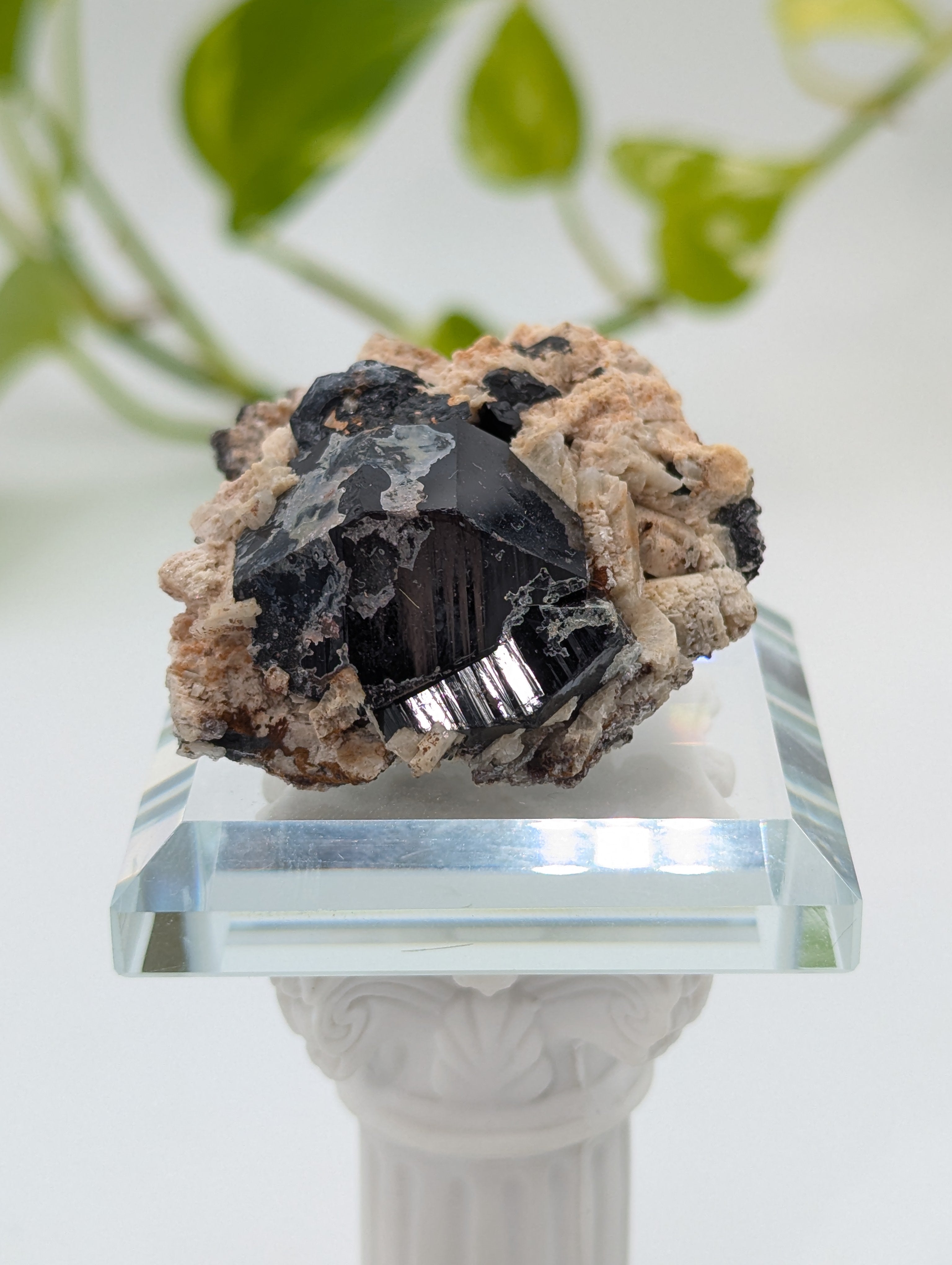 Schwarzer Turmalin (Schörl) aus Erongo V