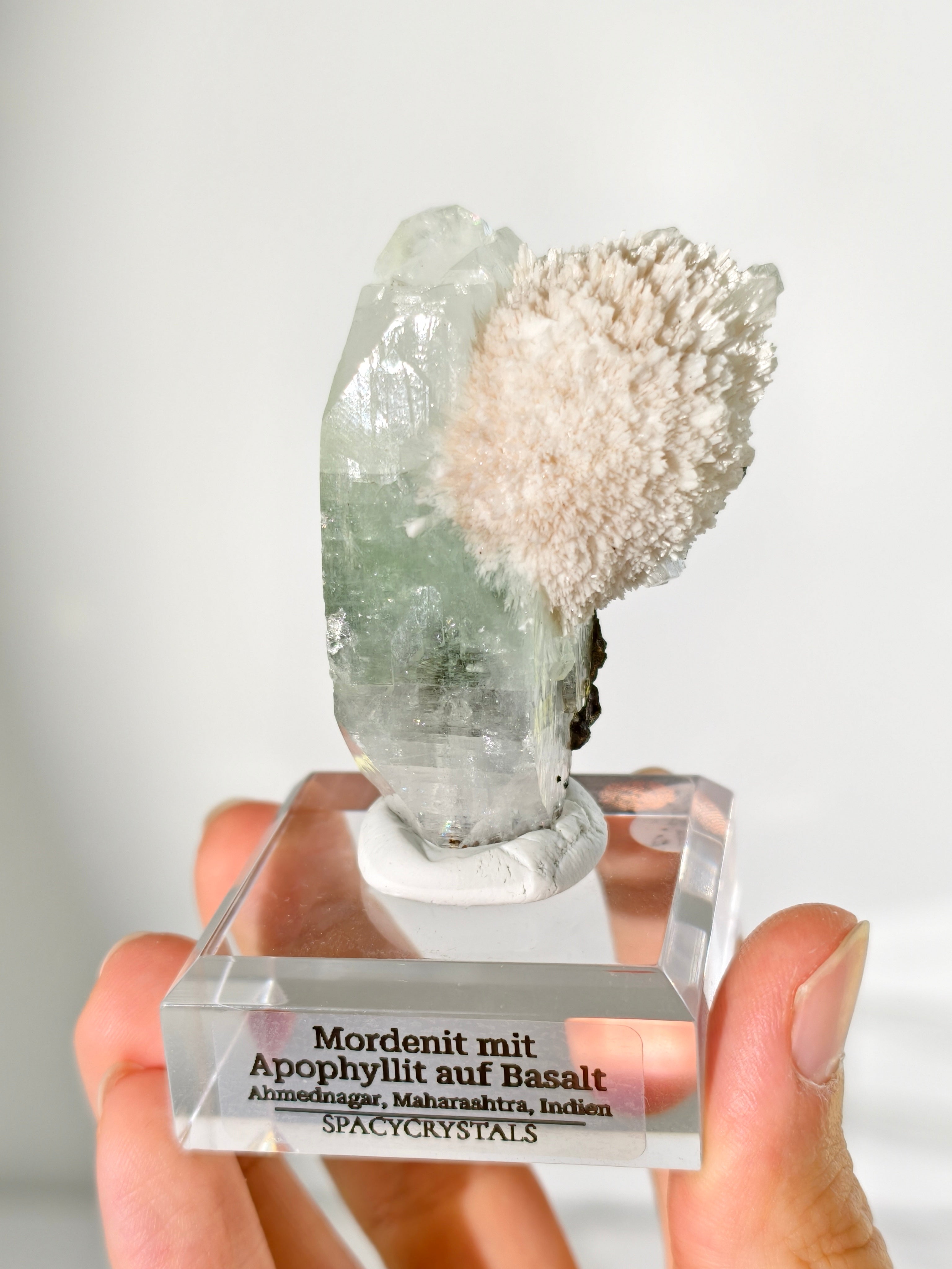 Mordenit mit Apophyllit auf Basalt aus Indien