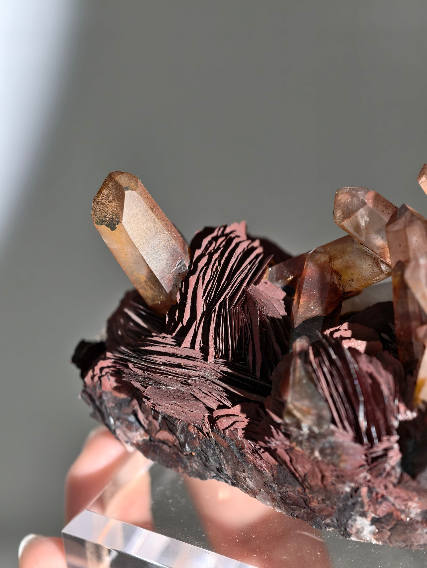 Rote Hämatit Rose mit Hämatitquarz aus Jinlong