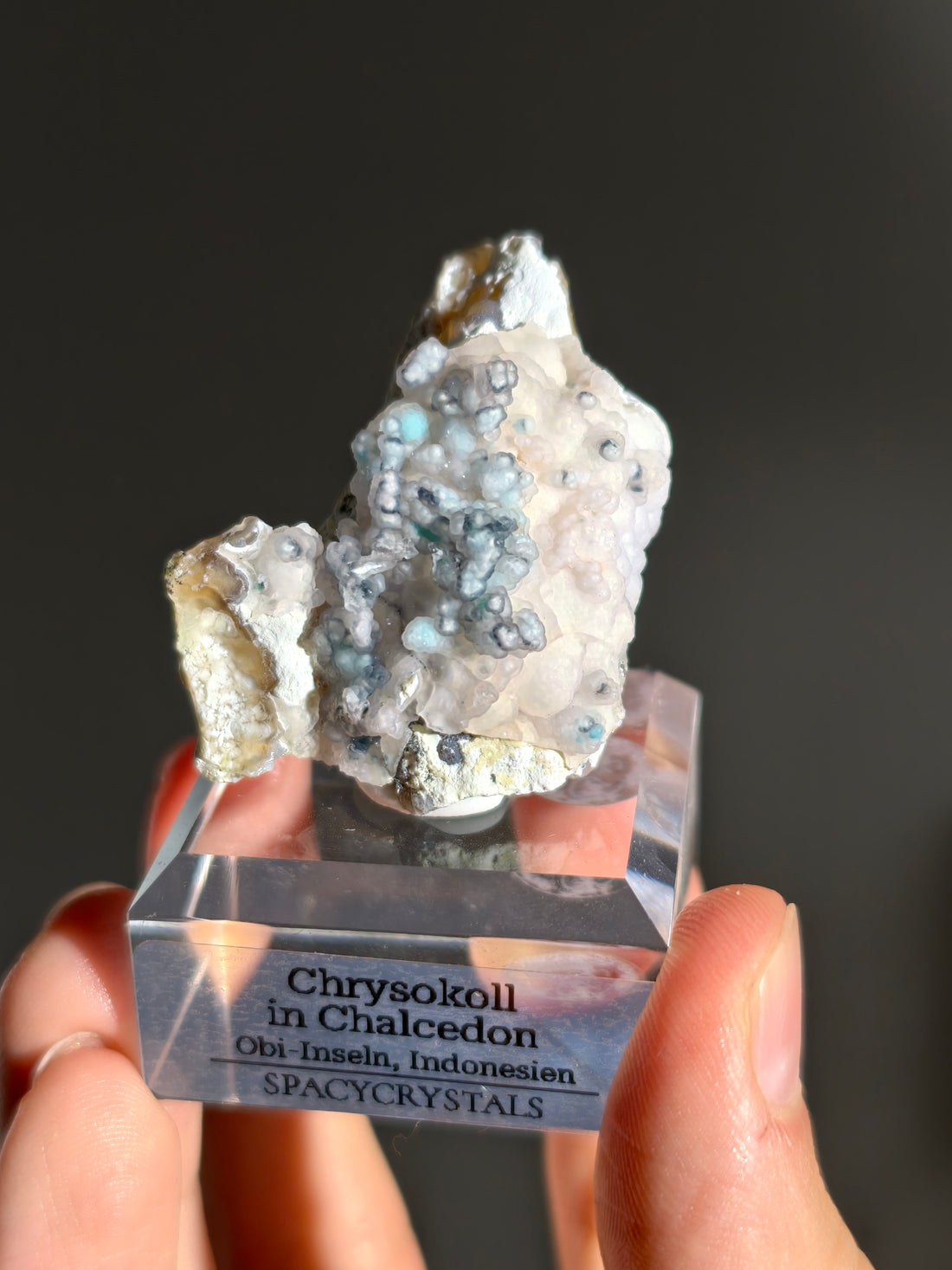 Neufund! Chrysokoll in Chalcedon aus Indonesien