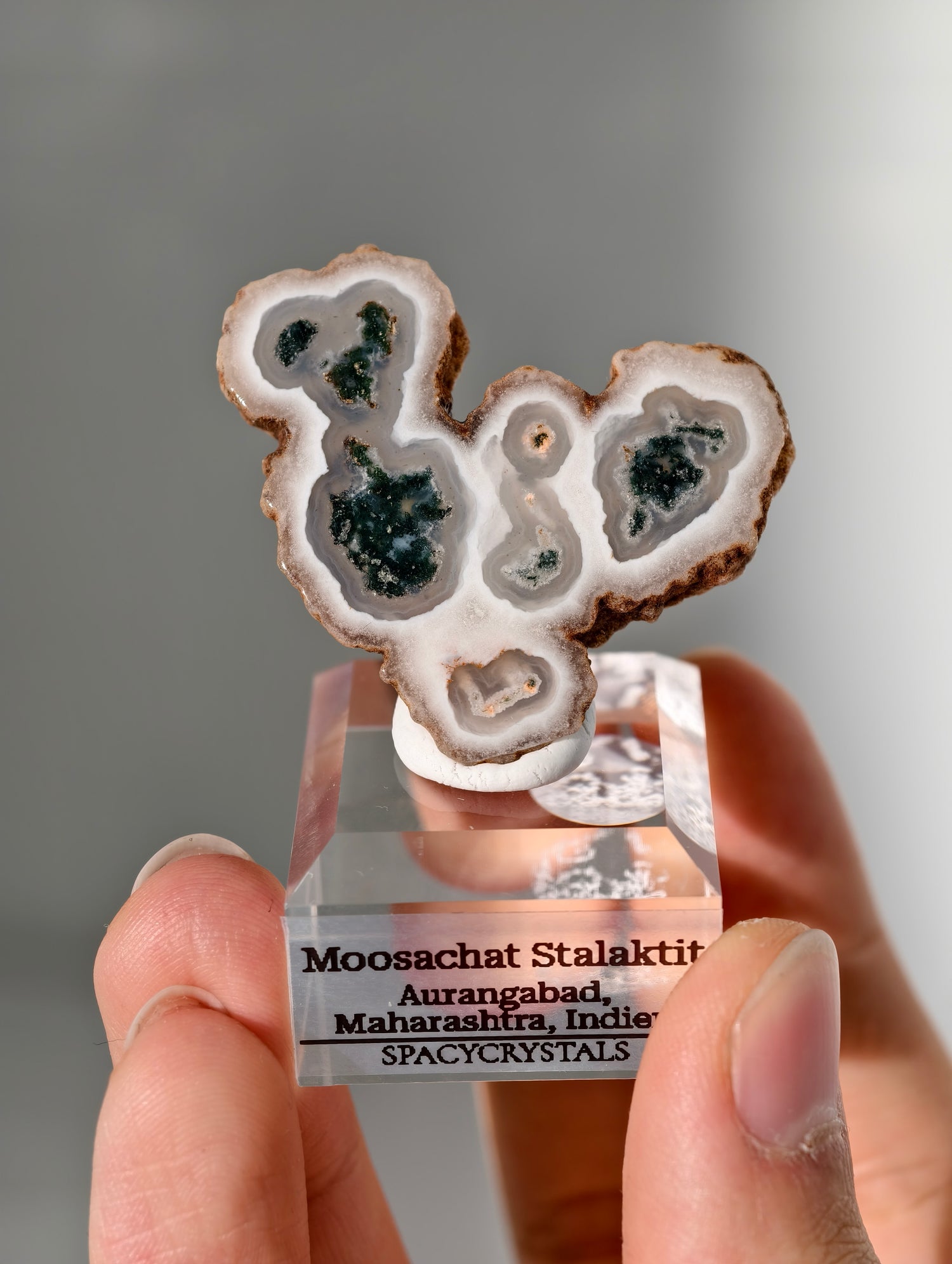 Moosachat Stalaktit Scheiben aus Indien (größer)