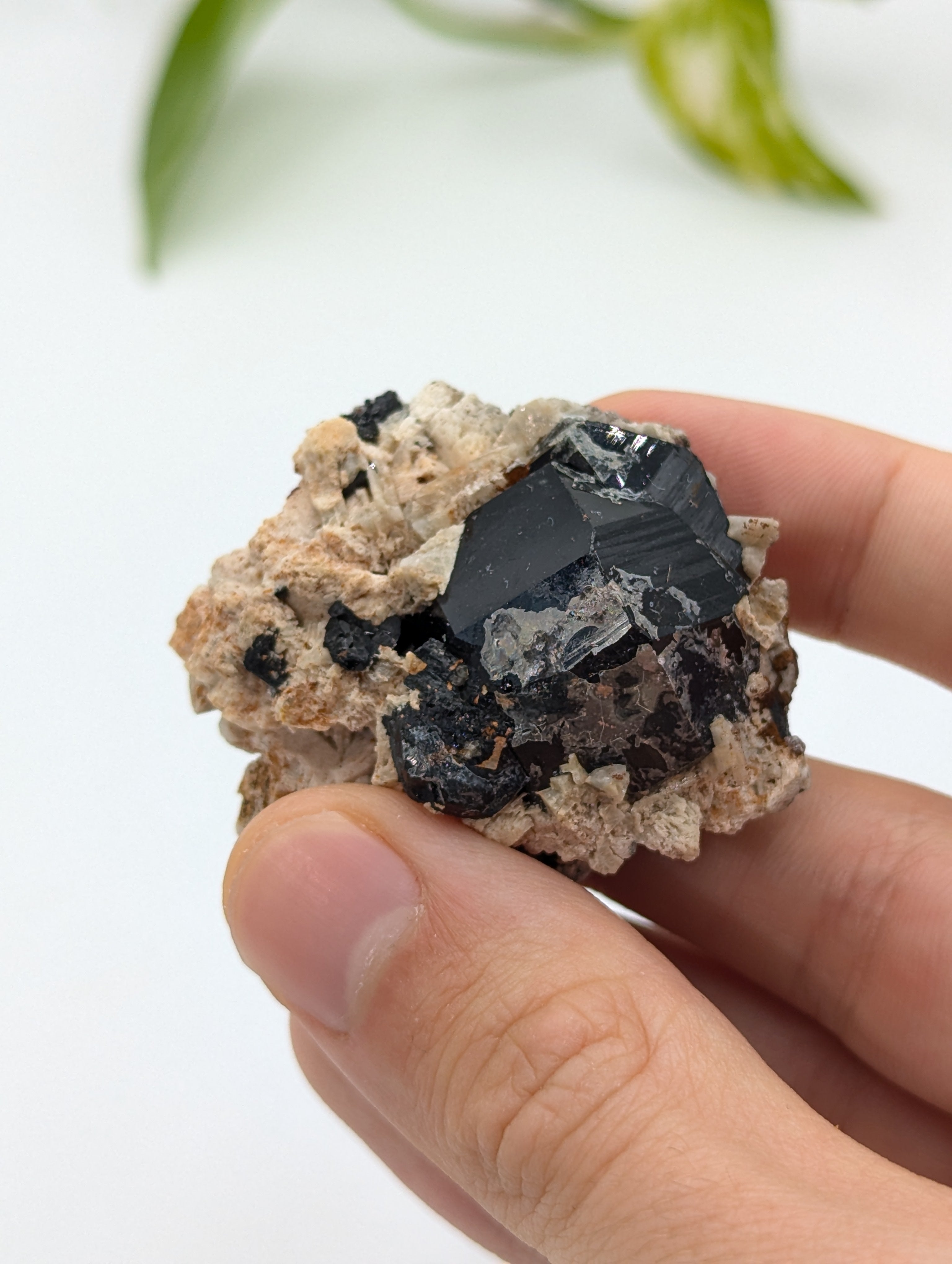 Schwarzer Turmalin (Schörl) aus Erongo V