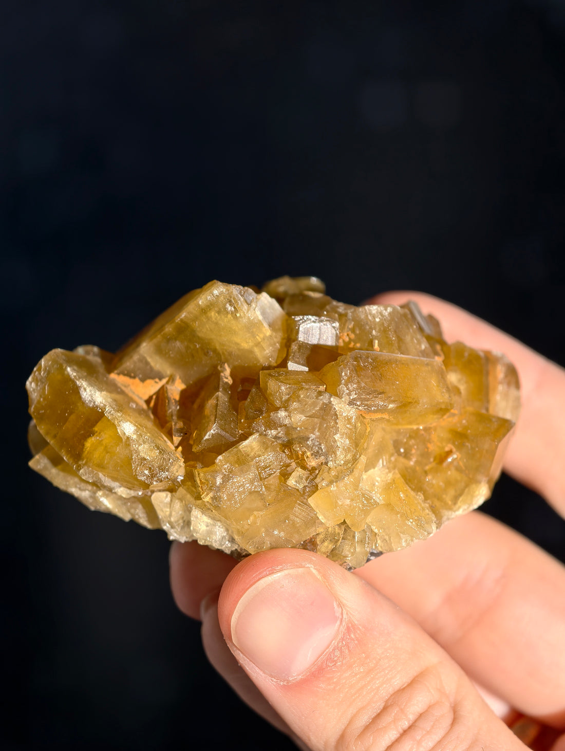 Goldgelber Barit 🍯 aus Jiangxi