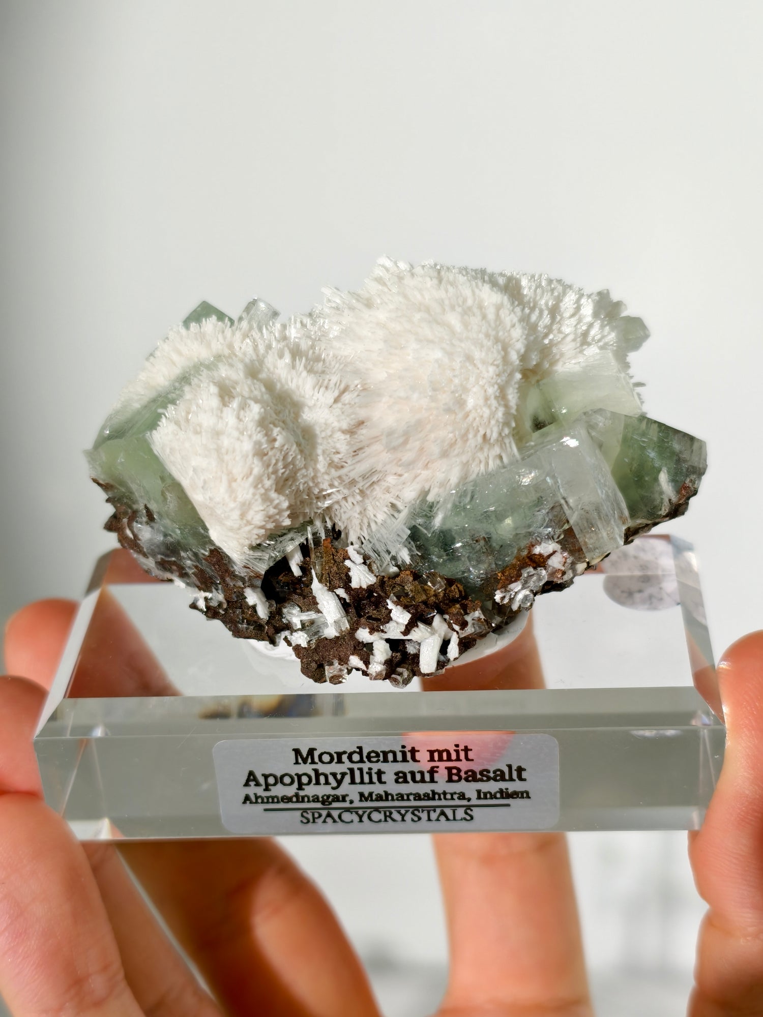 Mordenit mit Apophyllit auf Basalt aus Indien