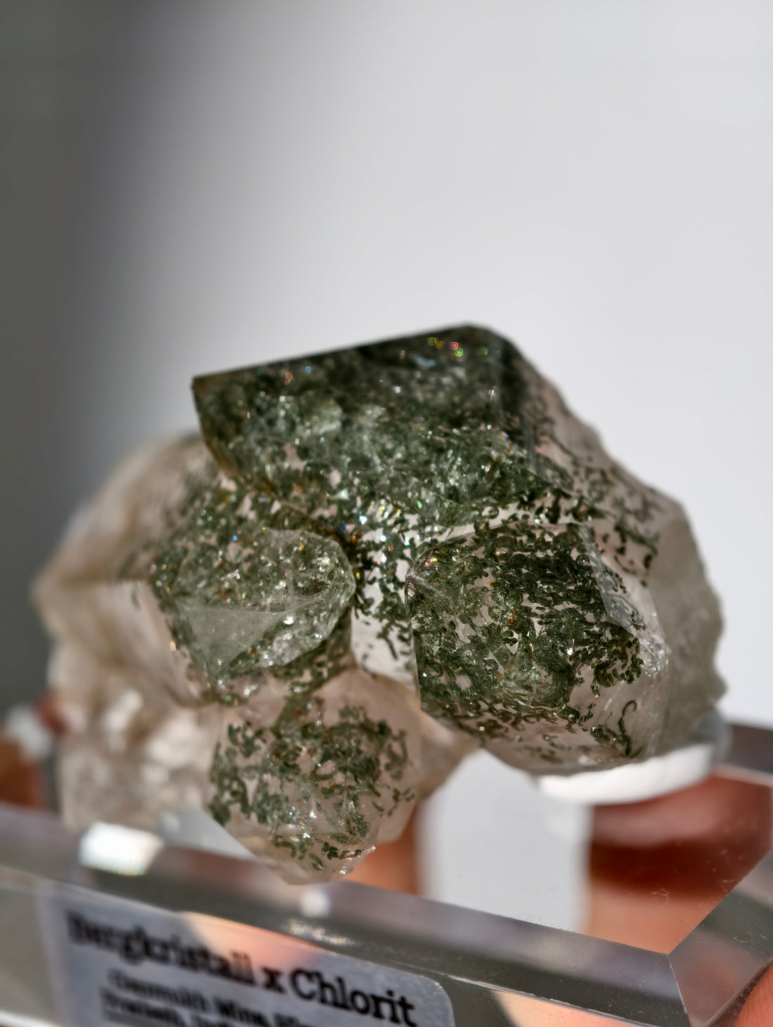 Himalaya Bergkristall Cluster mit Chlorit Einschlüssen