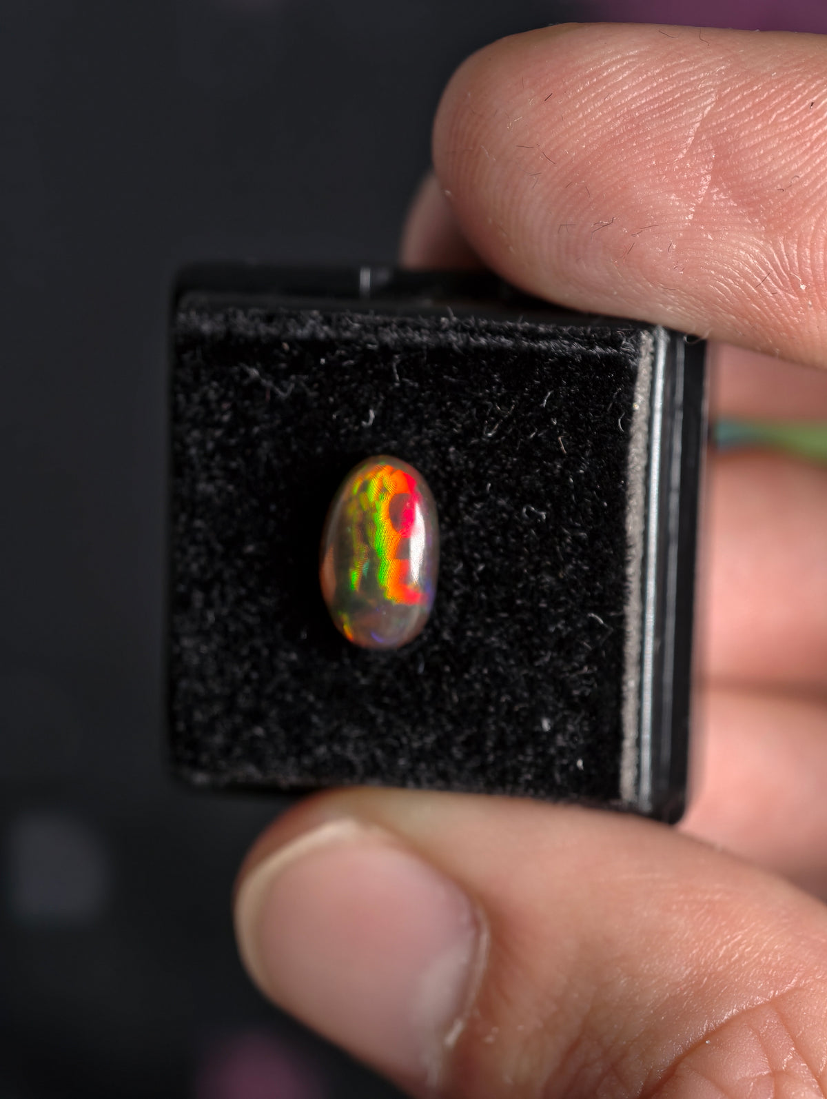 Welo Opal Cabochon in Dose (klein)
