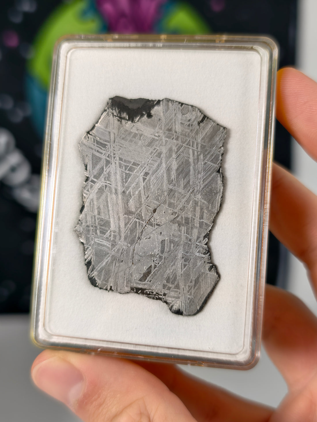 Muonionalusta Meteorit Scheibe 16,65g mit Zertifikat