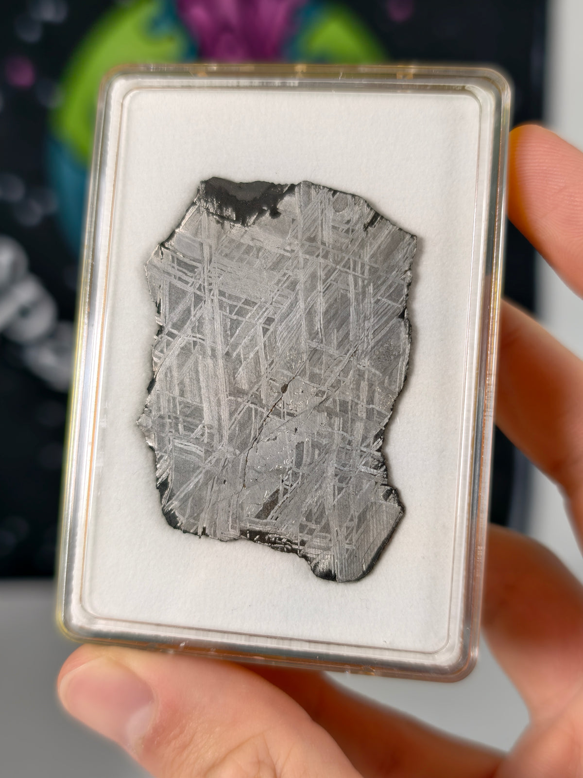 Muonionalusta Meteorit Scheibe 16,65g mit Zertifikat
