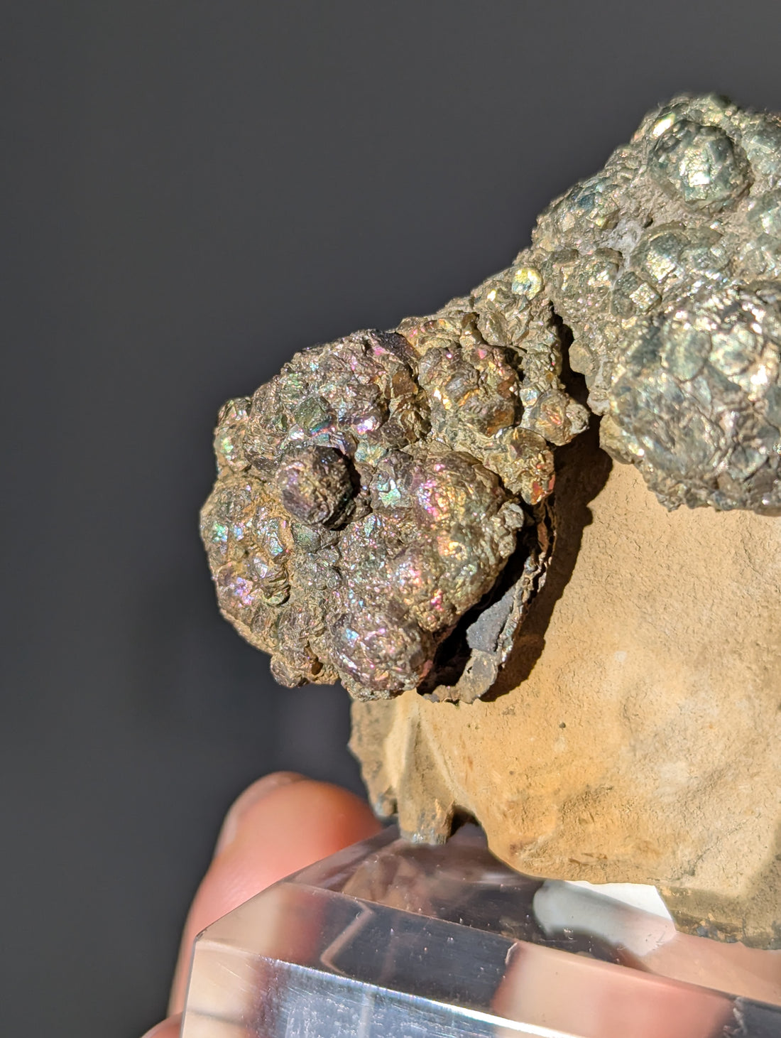 Irisierender Pyrit auf Limonit Knolle