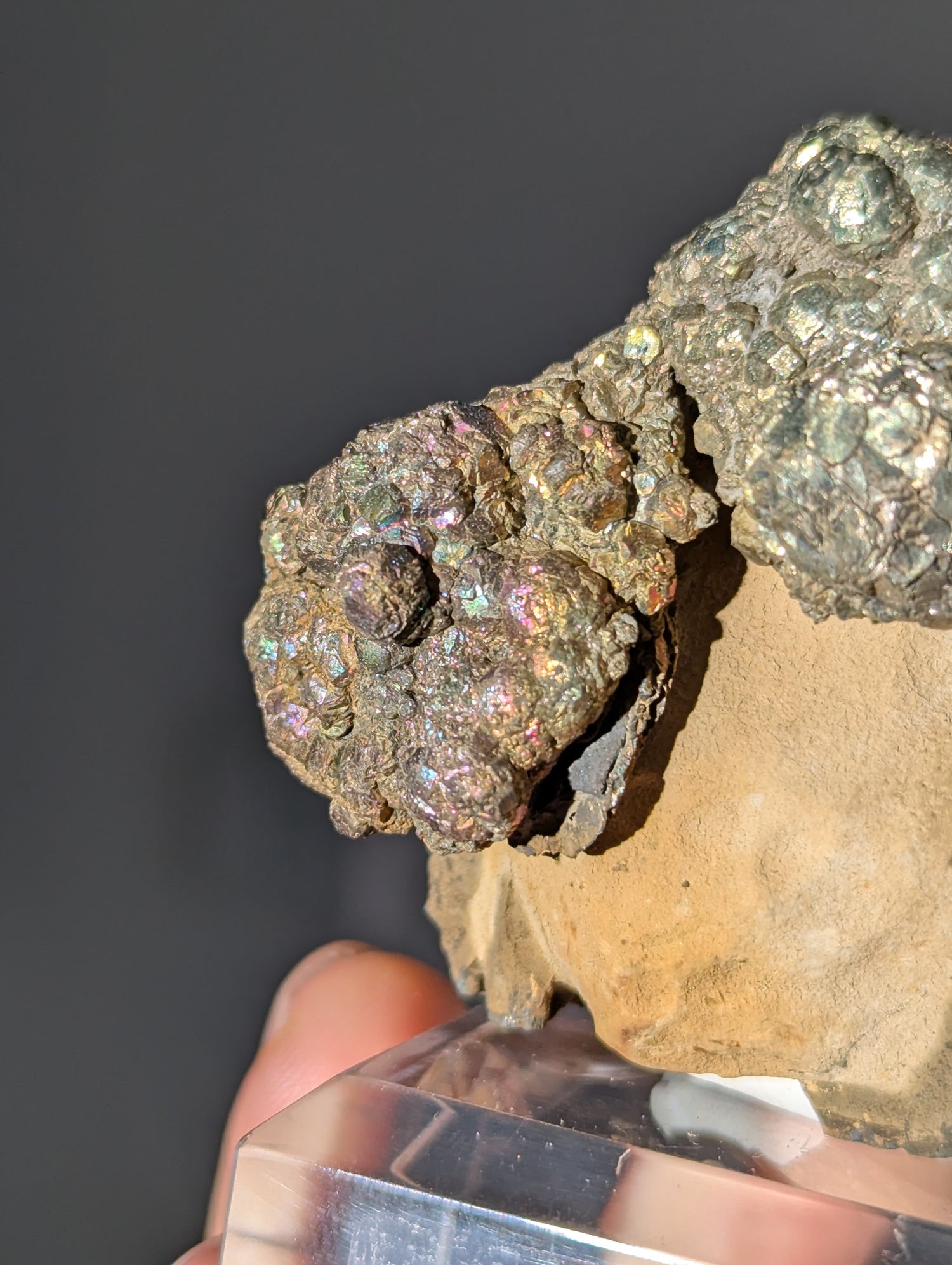 Irisierender Pyrit auf Limonit Knolle