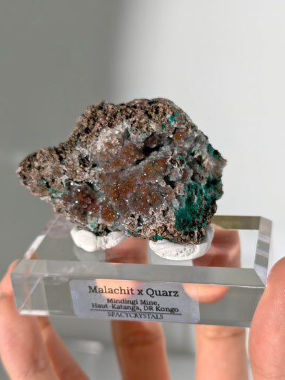 Malachit x Quarz aus der Mindingi Mine, Kongo