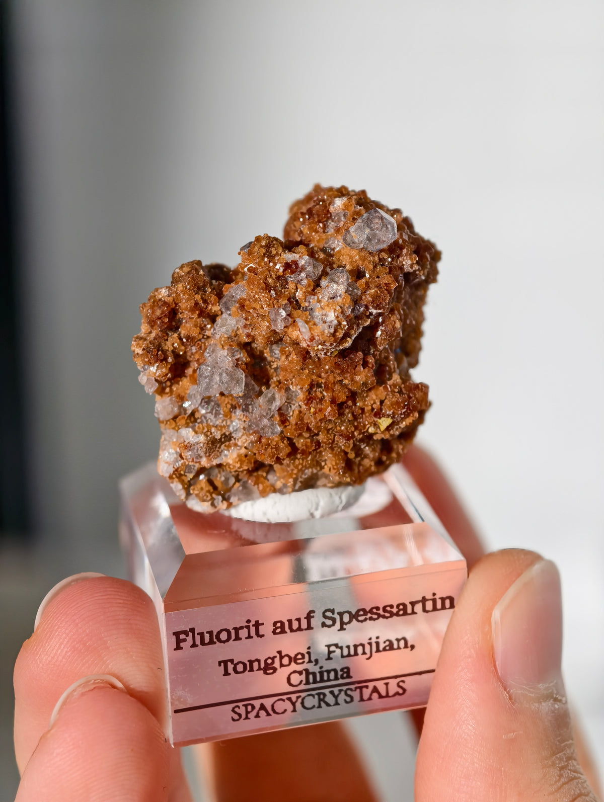 Fluorit Oktaeder auf Spessartin Granat aus Tongbei