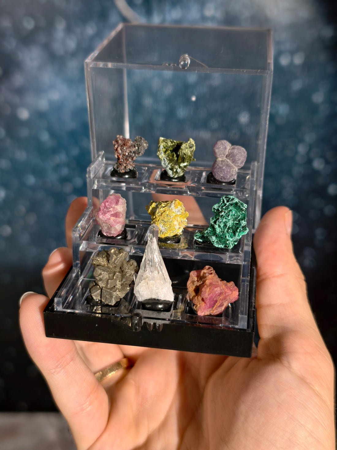 Specimen Box Set (Miniatursammlung)