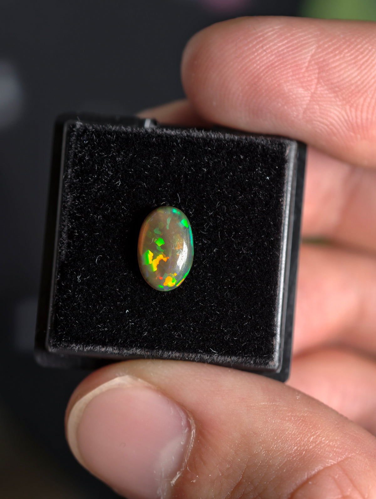 Welo Opal Cabochon in Dose (klein)