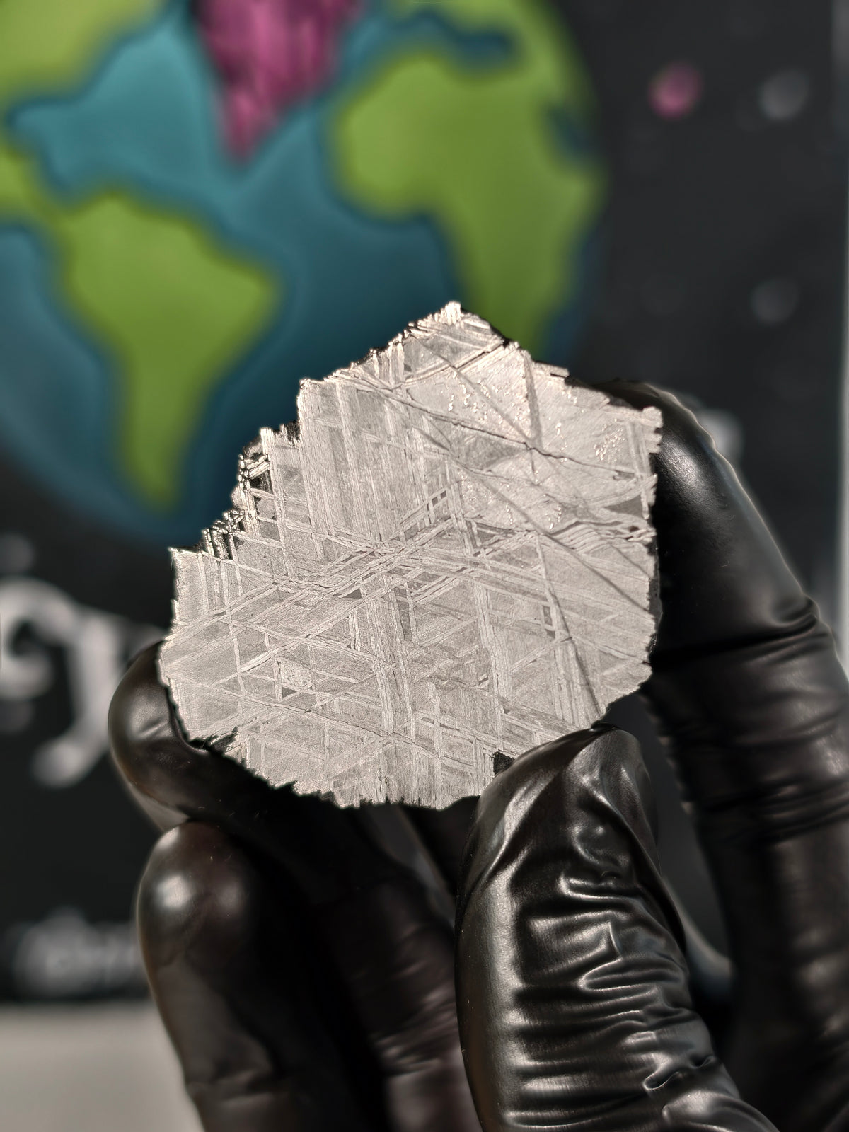 Muonionalusta Meteorit ENDSTÜCK 98,26g mit Zertifikat