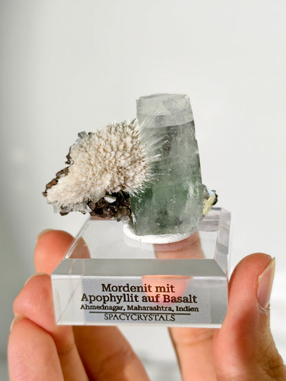 Mordenit mit Apophyllit auf Basalt aus Indien