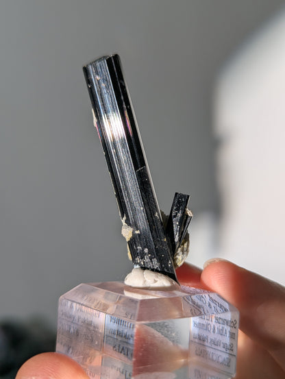 Schwarzer Turmalin (Schörl) mit Albit &amp; Glimmer auf Podest