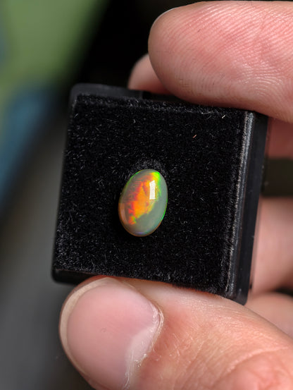 Welo Opal Cabochon in Dose (klein)