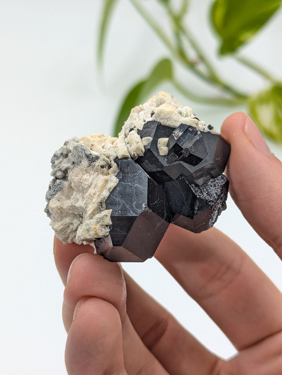 Schwarzer Turmalin (Schörl) aus Erongo