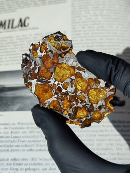Imilac Pallasit Meteorit Scheibe 20.04g mit Zertifikat