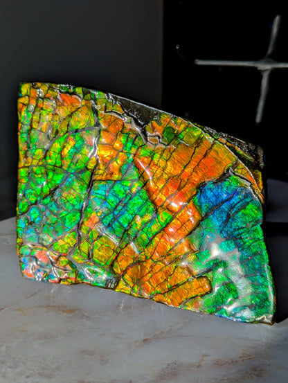 Großer Ammolit auf Ständer mit Farbwechsel aus Kanada