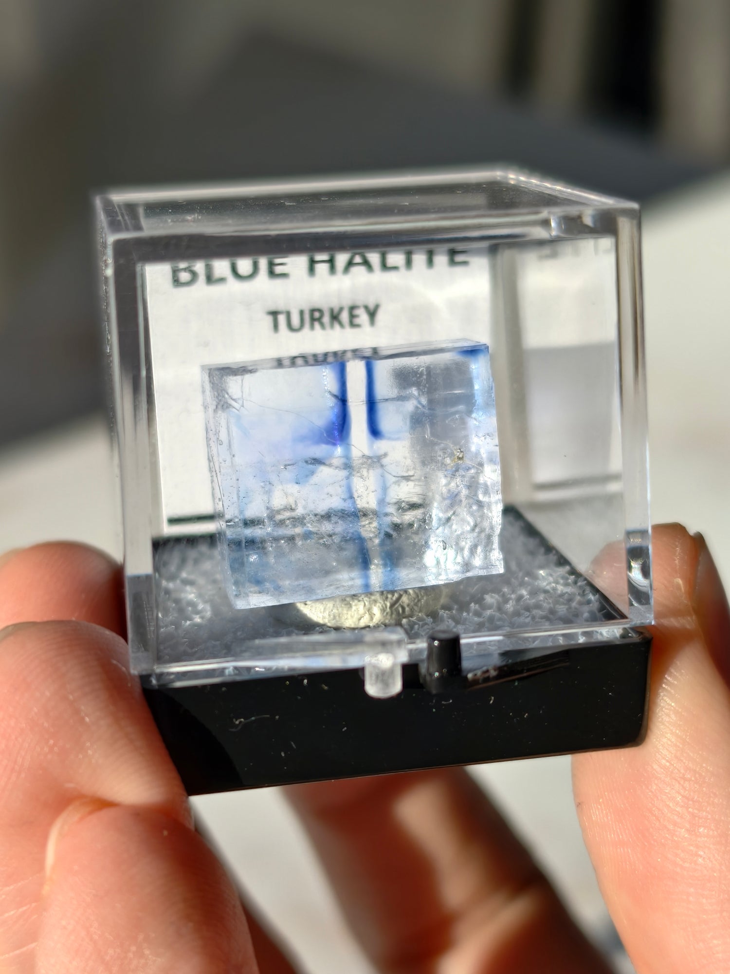 Blauer Halit aus Türkei in Box