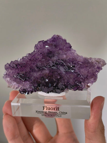 Lila Fluorit Würfel Cluster aus Xinyang