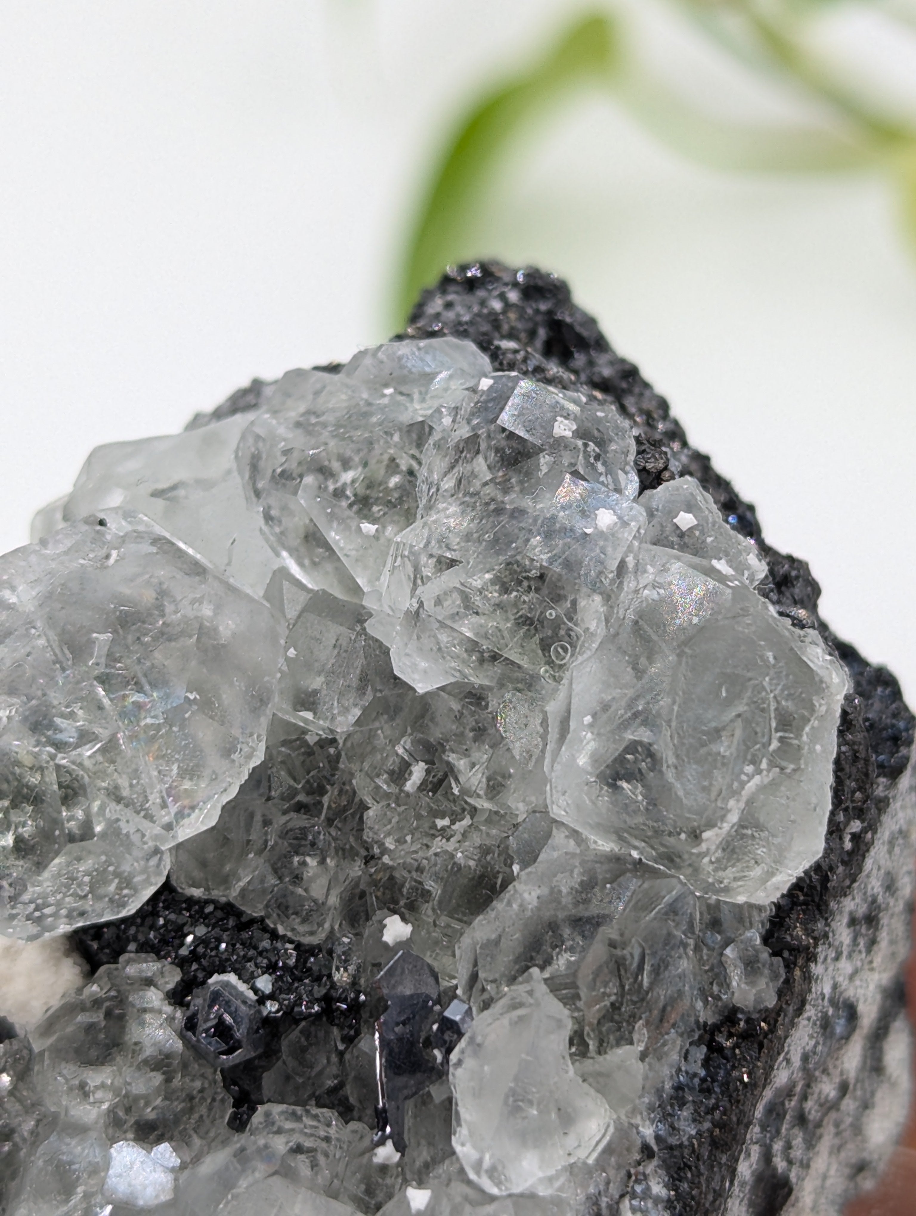 Neuer Fund! Fluorit mit Galenit und Tetraedrit aus Peru