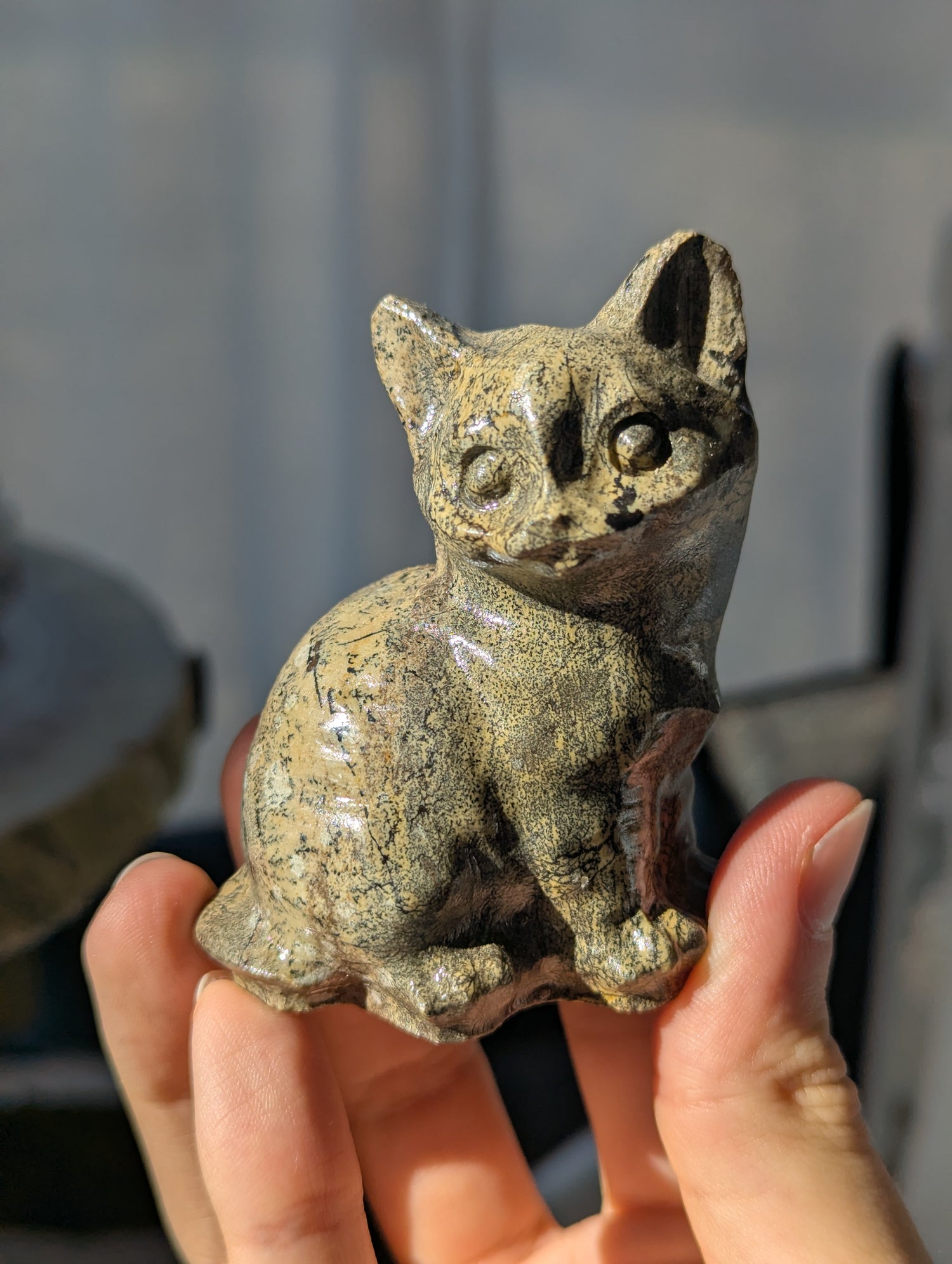 Bilderjaspis Katze 🐈 (wähle deine eigene)