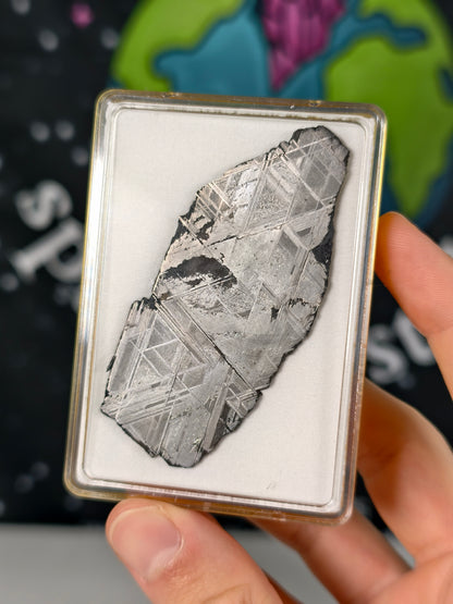 Muonionalusta Meteorit Scheibe 23,65g mit Zertifikat