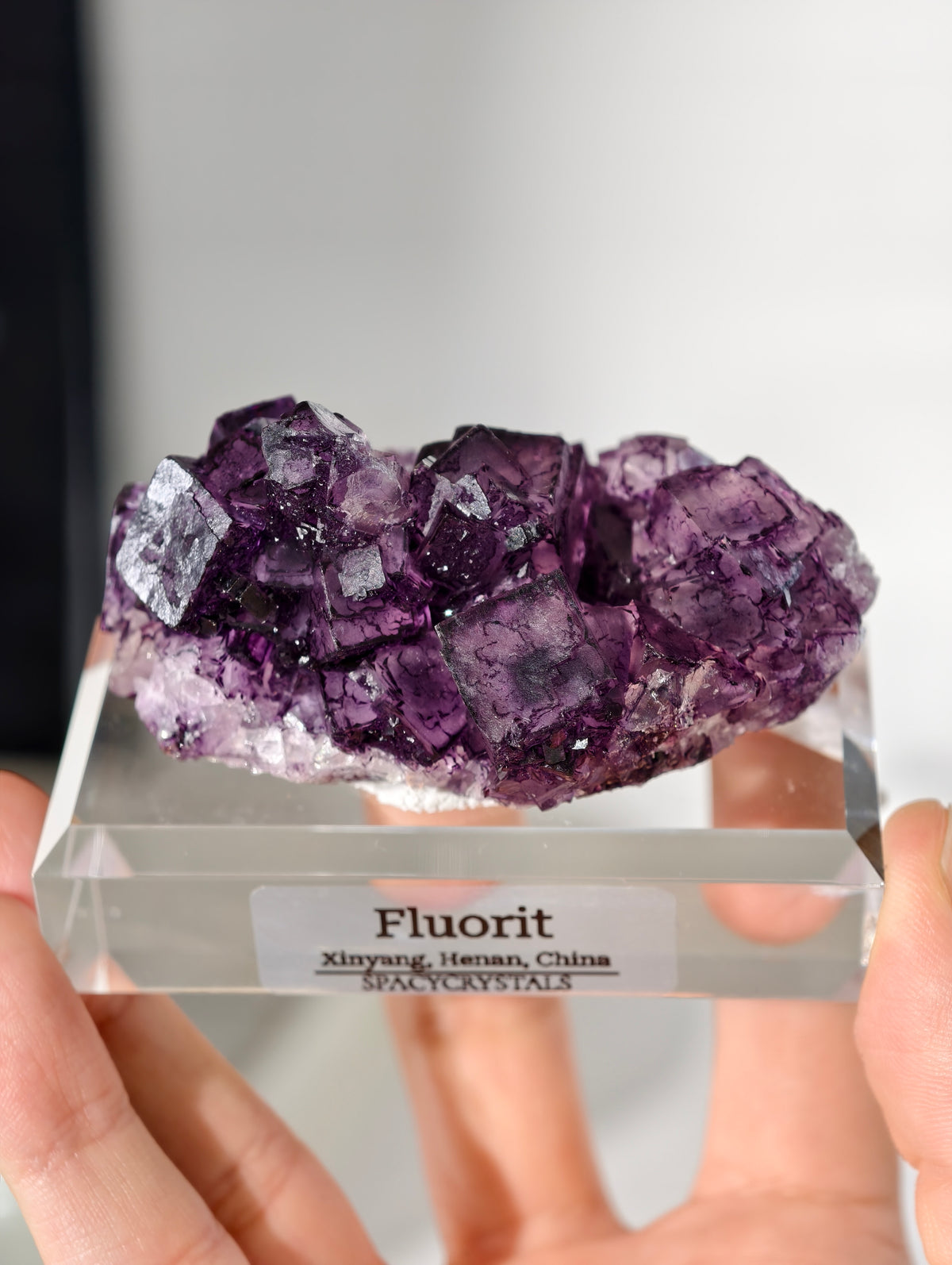 Lila Fluorit Würfel Cluster aus Xinyang