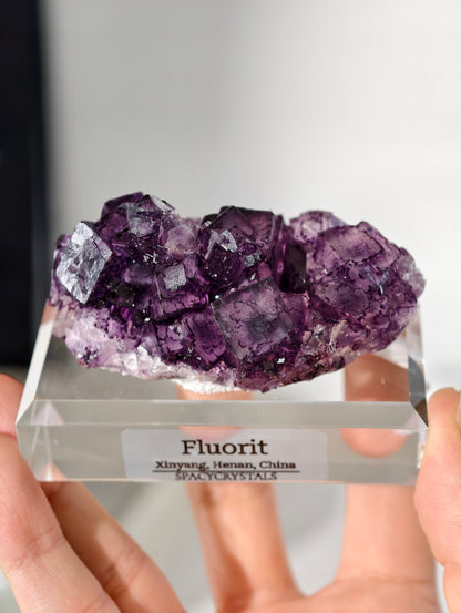 Lila Fluorit Würfel Cluster aus Xinyang